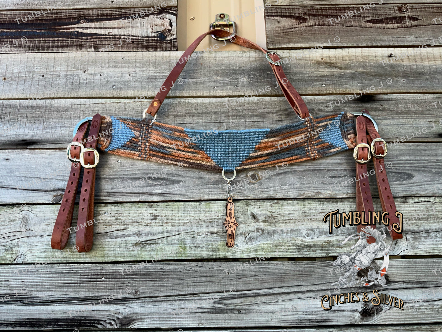 Diablo Canyon Steer Tripping Collar
